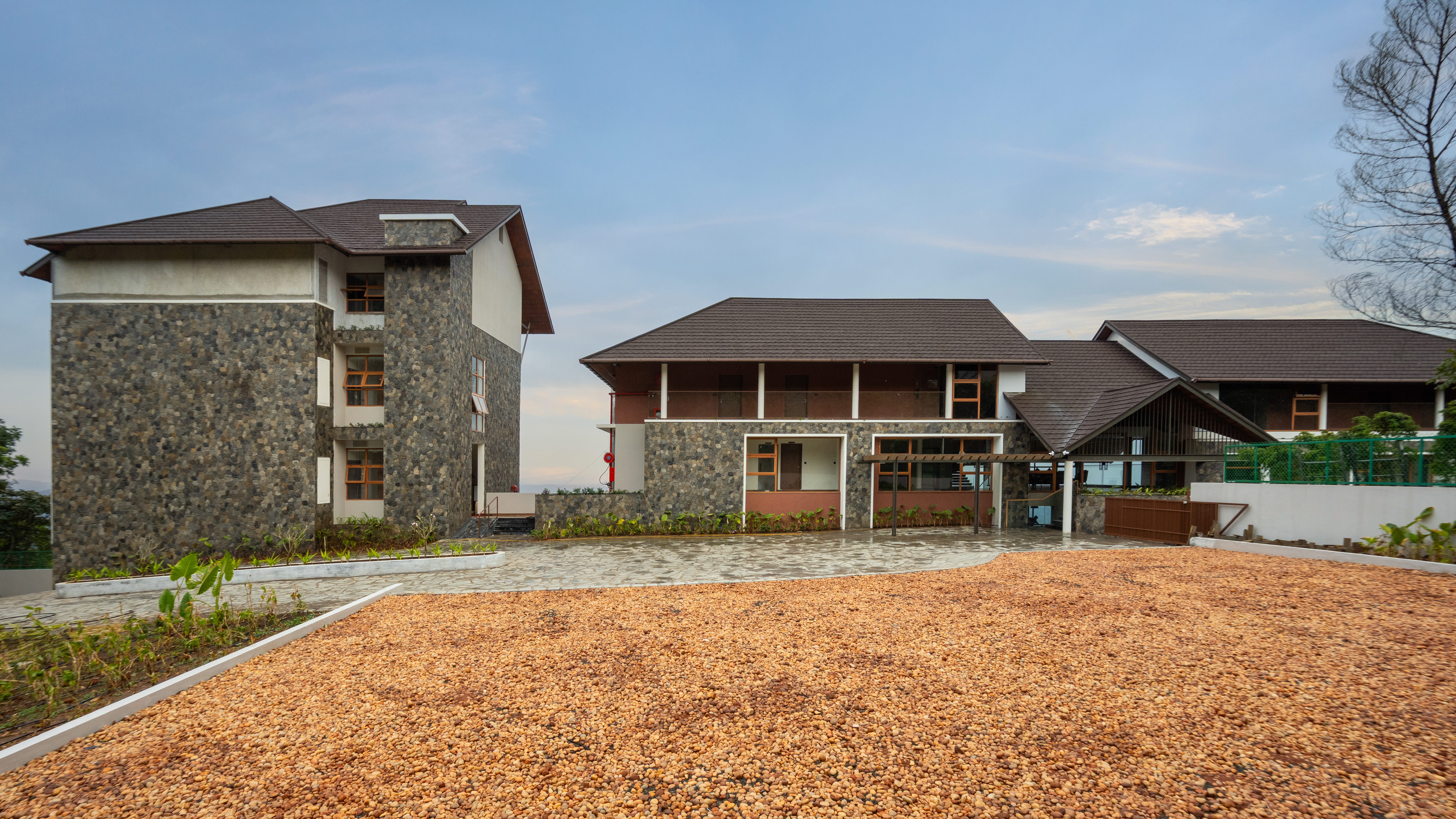 Misty Munnar hills at Olive Woods resort